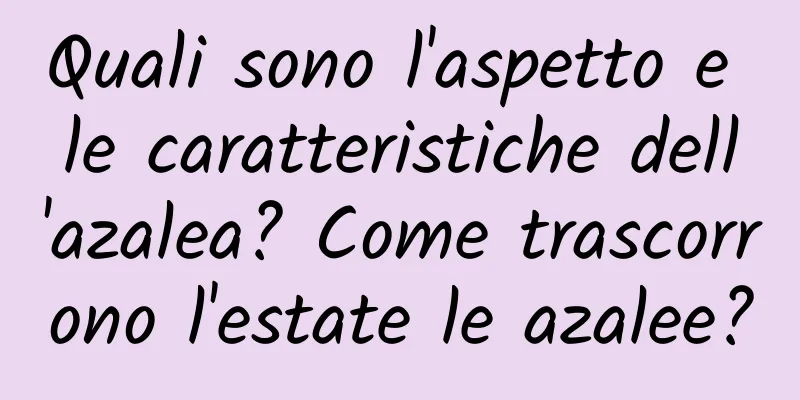 Quali sono l'aspetto e le caratteristiche dell'azalea? Come trascorrono l'estate le azalee?