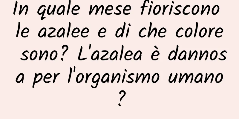 In quale mese fioriscono le azalee e di che colore sono? L'azalea è dannosa per l'organismo umano?