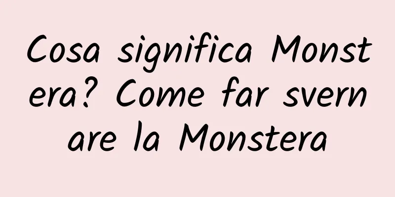 Cosa significa Monstera? Come far svernare la Monstera