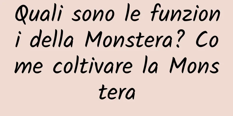 Quali sono le funzioni della Monstera? Come coltivare la Monstera