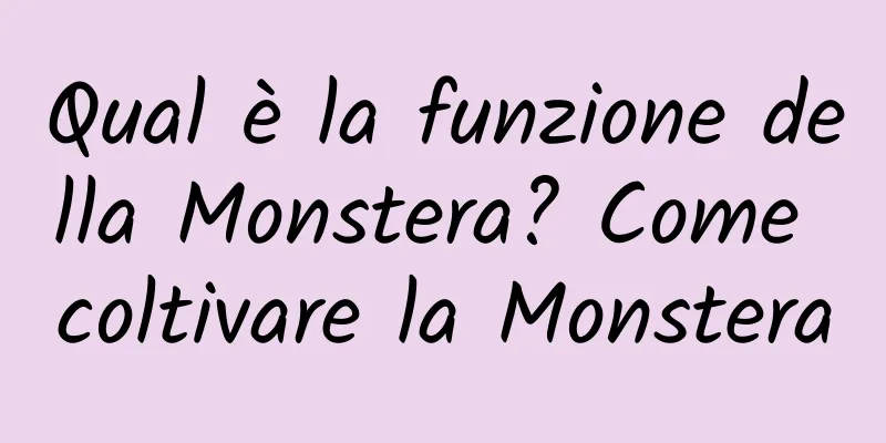Qual è la funzione della Monstera? Come coltivare la Monstera