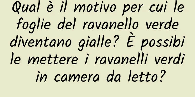 Qual è il motivo per cui le foglie del ravanello verde diventano gialle? È possibile mettere i ravanelli verdi in camera da letto?