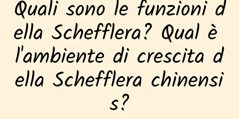 Quali sono le funzioni della Schefflera? Qual è l'ambiente di crescita della Schefflera chinensis?
