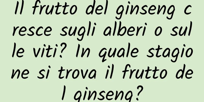Il frutto del ginseng cresce sugli alberi o sulle viti? In quale stagione si trova il frutto del ginseng?