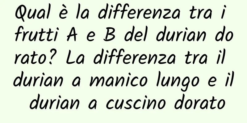 Qual è la differenza tra i frutti A e B del durian dorato? La differenza tra il durian a manico lungo e il durian a cuscino dorato