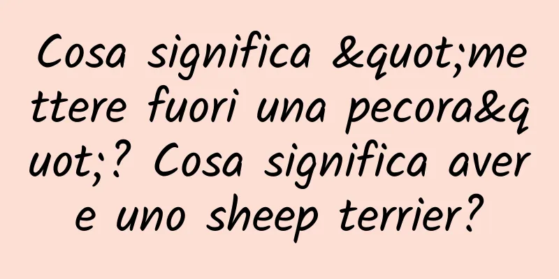Cosa significa "mettere fuori una pecora"? Cosa significa avere uno sheep terrier?