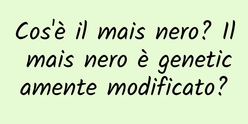 Cos'è il mais nero? Il mais nero è geneticamente modificato?