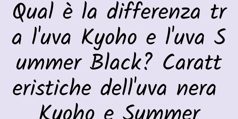 Qual è la differenza tra l'uva Kyoho e l'uva Summer Black? Caratteristiche dell'uva nera Kyoho e Summer