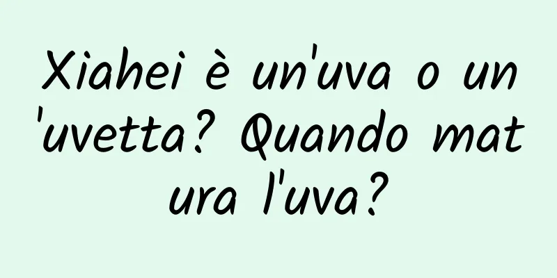 Xiahei è un'uva o un'uvetta? Quando matura l'uva?