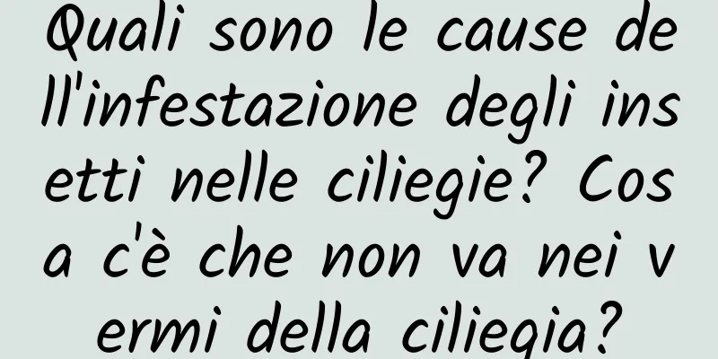Quali sono le cause dell'infestazione degli insetti nelle ciliegie? Cosa c'è che non va nei vermi della ciliegia?