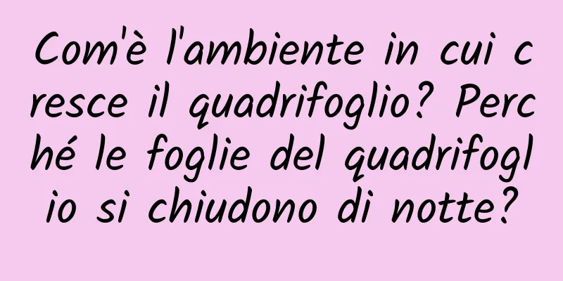 Com'è l'ambiente in cui cresce il quadrifoglio? Perché le foglie del quadrifoglio si chiudono di notte?