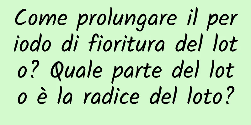 Come prolungare il periodo di fioritura del loto? Quale parte del loto è la radice del loto?