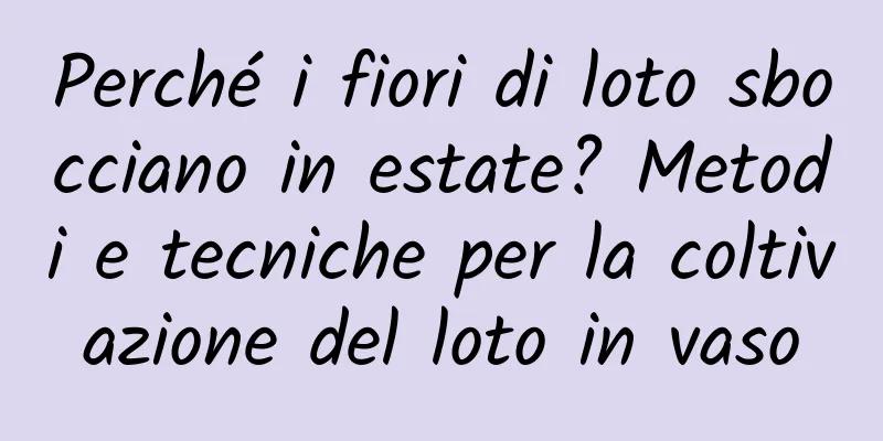 Perché i fiori di loto sbocciano in estate? Metodi e tecniche per la coltivazione del loto in vaso