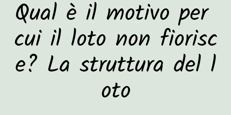 Qual è il motivo per cui il loto non fiorisce? La struttura del loto