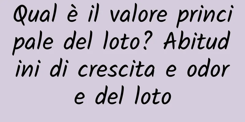 Qual è il valore principale del loto? Abitudini di crescita e odore del loto