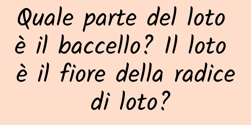 Quale parte del loto è il baccello? Il loto è il fiore della radice di loto?