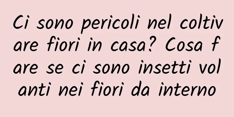Ci sono pericoli nel coltivare fiori in casa? Cosa fare se ci sono insetti volanti nei fiori da interno