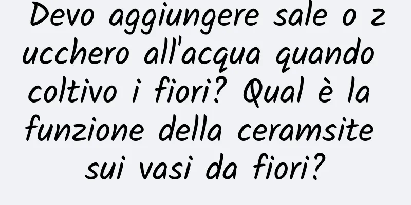 Devo aggiungere sale o zucchero all'acqua quando coltivo i fiori? Qual è la funzione della ceramsite sui vasi da fiori?