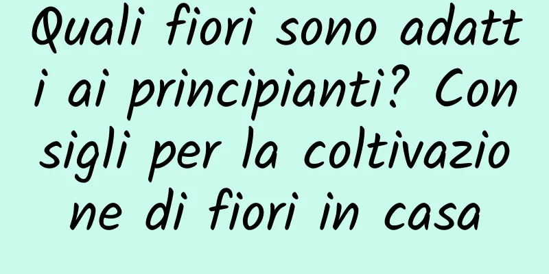 Quali fiori sono adatti ai principianti? Consigli per la coltivazione di fiori in casa