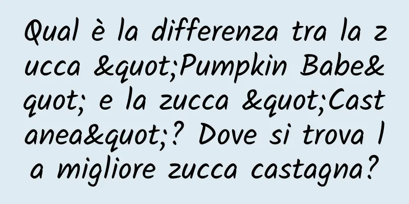 Qual è la differenza tra la zucca "Pumpkin Babe" e la zucca "Castanea"? Dove si trova la migliore zucca castagna?