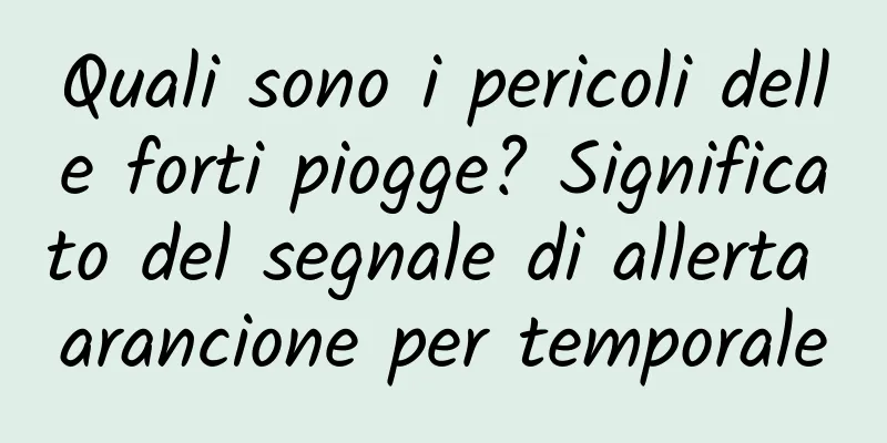 Quali sono i pericoli delle forti piogge? Significato del segnale di allerta arancione per temporale