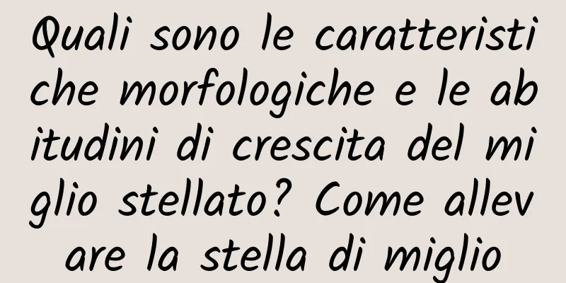 Quali sono le caratteristiche morfologiche e le abitudini di crescita del miglio stellato? Come allevare la stella di miglio