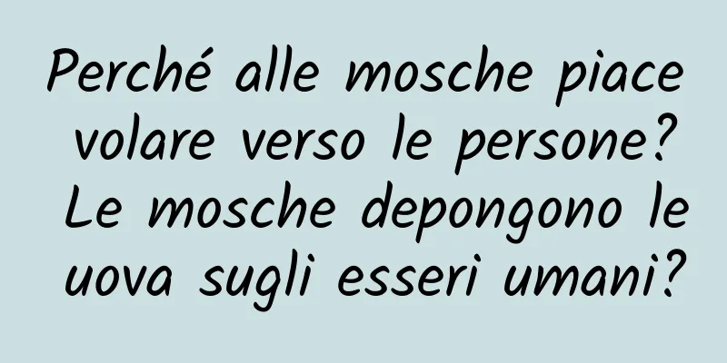 Perché alle mosche piace volare verso le persone? Le mosche depongono le uova sugli esseri umani?