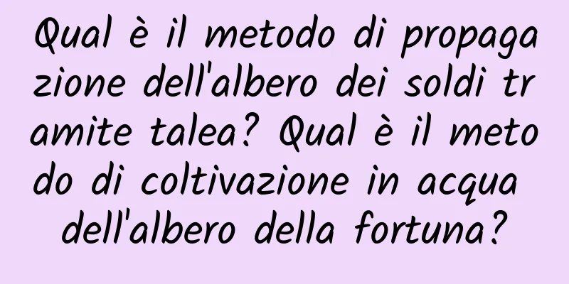 Qual è il metodo di propagazione dell'albero dei soldi tramite talea? Qual è il metodo di coltivazione in acqua dell'albero della fortuna?