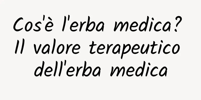 Cos'è l'erba medica? Il valore terapeutico dell'erba medica