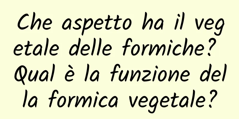 Che aspetto ha il vegetale delle formiche? Qual è la funzione della formica vegetale?