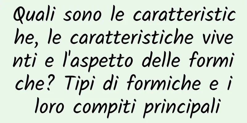 Quali sono le caratteristiche, le caratteristiche viventi e l'aspetto delle formiche? Tipi di formiche e i loro compiti principali