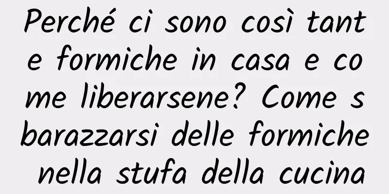 Perché ci sono così tante formiche in casa e come liberarsene? Come sbarazzarsi delle formiche nella stufa della cucina
