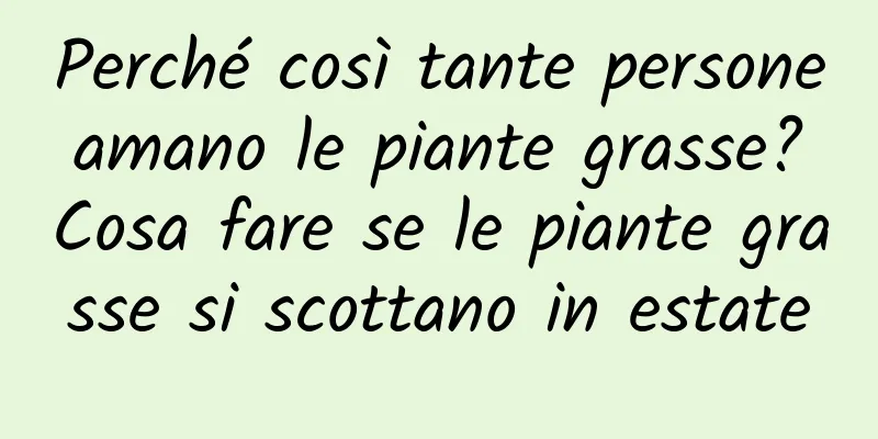 Perché così tante persone amano le piante grasse? Cosa fare se le piante grasse si scottano in estate