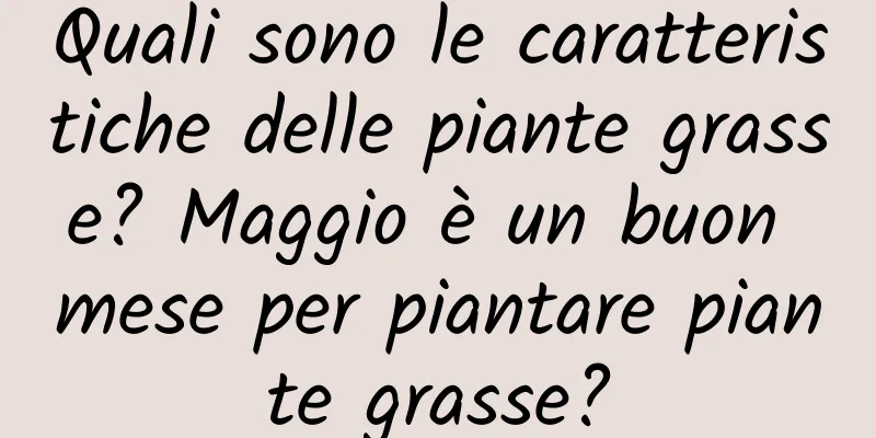 Quali sono le caratteristiche delle piante grasse? Maggio è un buon mese per piantare piante grasse?