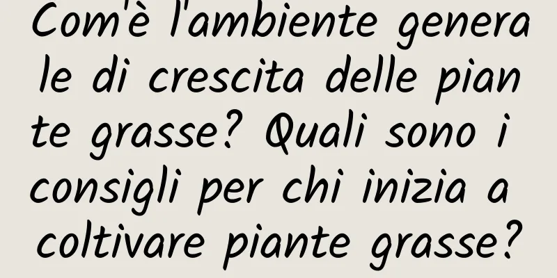 Com'è l'ambiente generale di crescita delle piante grasse? Quali sono i consigli per chi inizia a coltivare piante grasse?