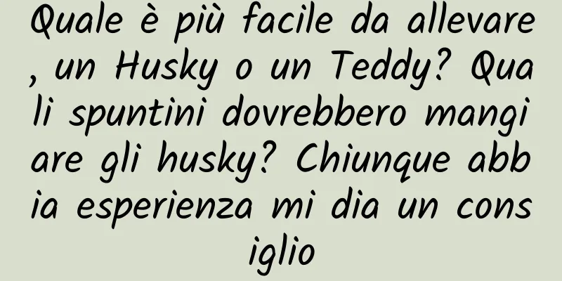 Quale è più facile da allevare, un Husky o un Teddy? Quali spuntini dovrebbero mangiare gli husky? Chiunque abbia esperienza mi dia un consiglio