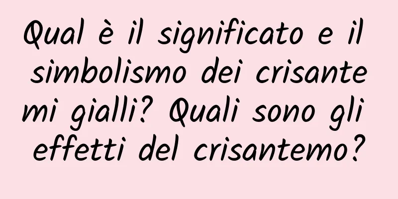 Qual è il significato e il simbolismo dei crisantemi gialli? Quali sono gli effetti del crisantemo?