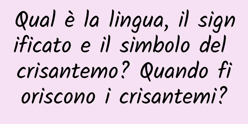 Qual è la lingua, il significato e il simbolo del crisantemo? Quando fioriscono i crisantemi?