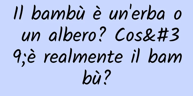 Il bambù è un'erba o un albero? Cos'è realmente il bambù?
