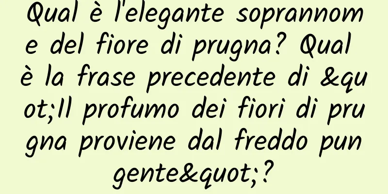 Qual è l'elegante soprannome del fiore di prugna? Qual è la frase precedente di "Il profumo dei fiori di prugna proviene dal freddo pungente"?
