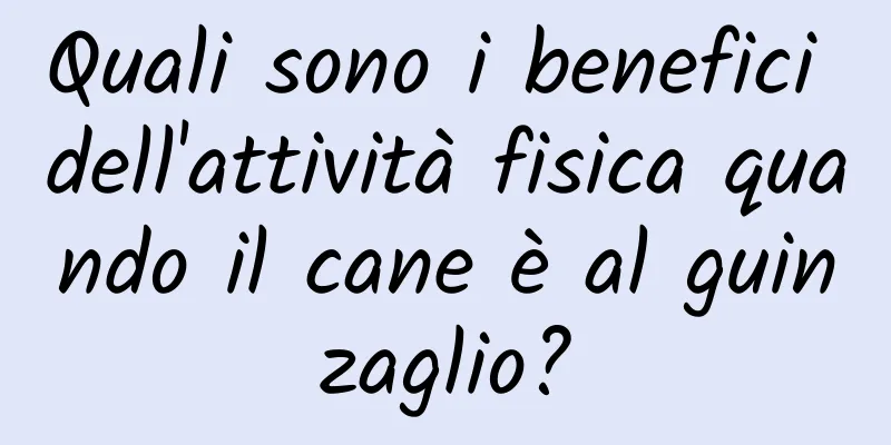 Quali sono i benefici dell'attività fisica quando il cane è al guinzaglio?