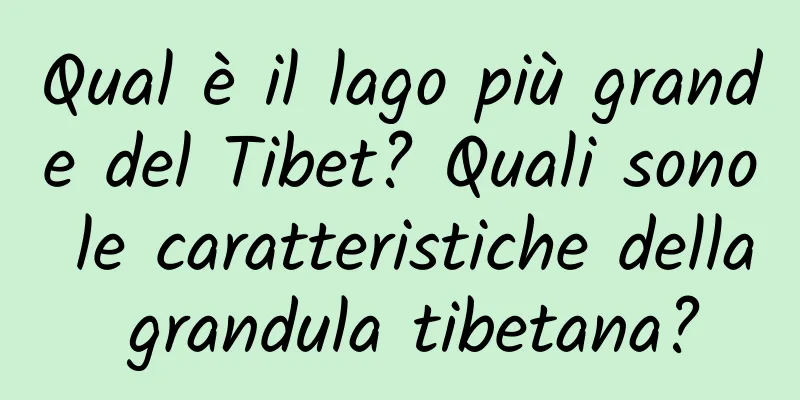 Qual è il lago più grande del Tibet? Quali sono le caratteristiche della grandula tibetana?
