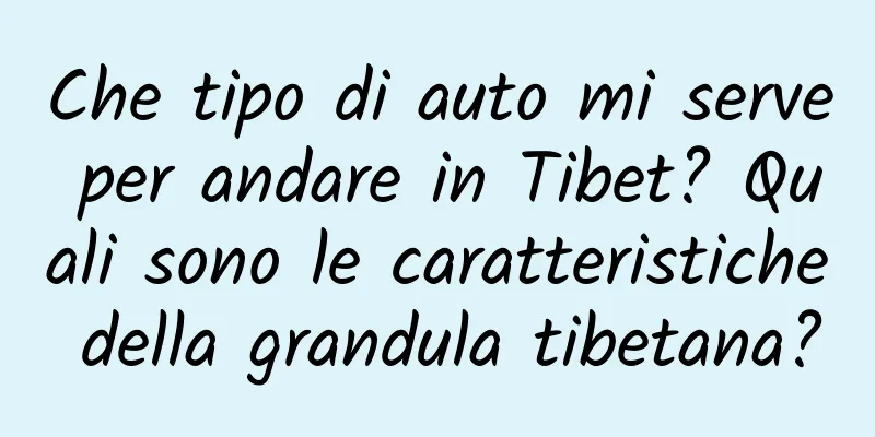 Che tipo di auto mi serve per andare in Tibet? Quali sono le caratteristiche della grandula tibetana?
