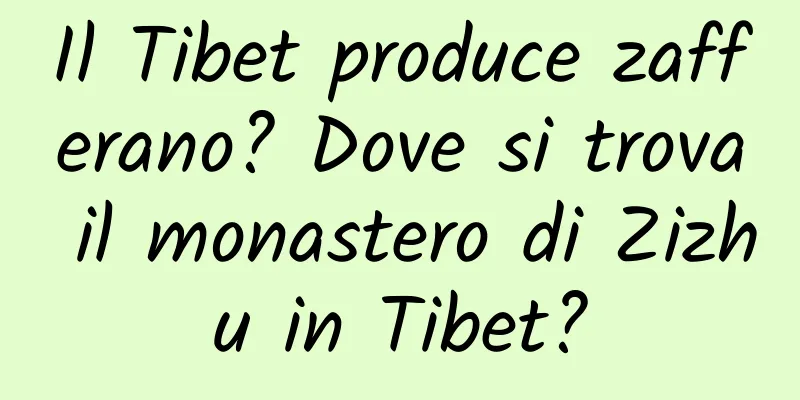 Il Tibet produce zafferano? Dove si trova il monastero di Zizhu in Tibet?