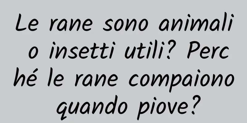 Le rane sono animali o insetti utili? Perché le rane compaiono quando piove?
