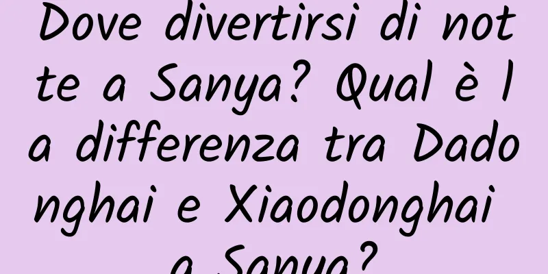 Dove divertirsi di notte a Sanya? Qual è la differenza tra Dadonghai e Xiaodonghai a Sanya?