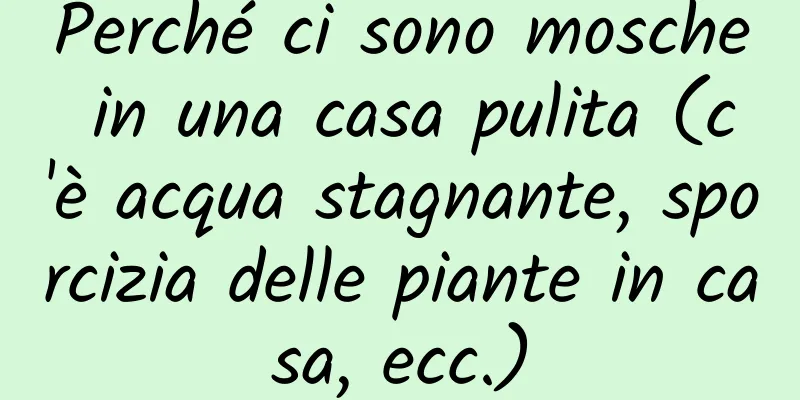 Perché ci sono mosche in una casa pulita (c'è acqua stagnante, sporcizia delle piante in casa, ecc.)