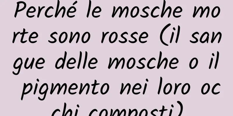 Perché le mosche morte sono rosse (il sangue delle mosche o il pigmento nei loro occhi composti)