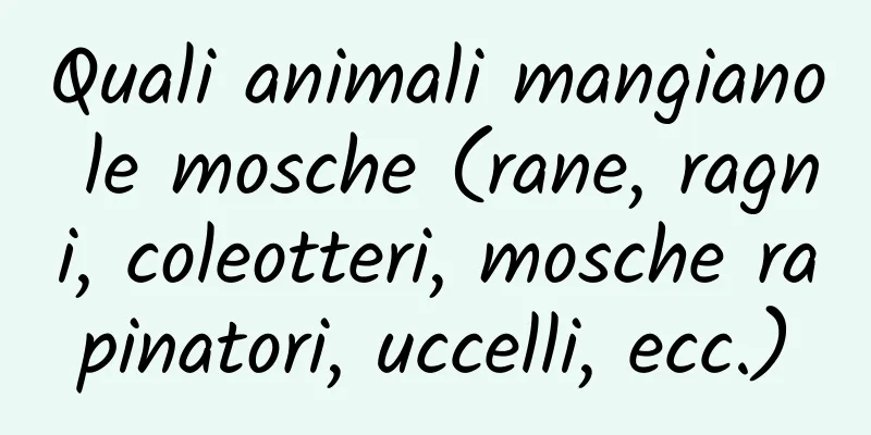 Quali animali mangiano le mosche (rane, ragni, coleotteri, mosche rapinatori, uccelli, ecc.)
