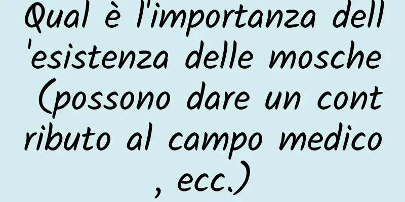 Qual è l'importanza dell'esistenza delle mosche (possono dare un contributo al campo medico, ecc.)
